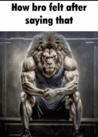 How Bro Felt (Lion)